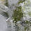 Thumbnail: Quartz, Epidote, and Stilbite on Matrix