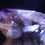 Thumbnail: Quartz - Amethyst Scepter