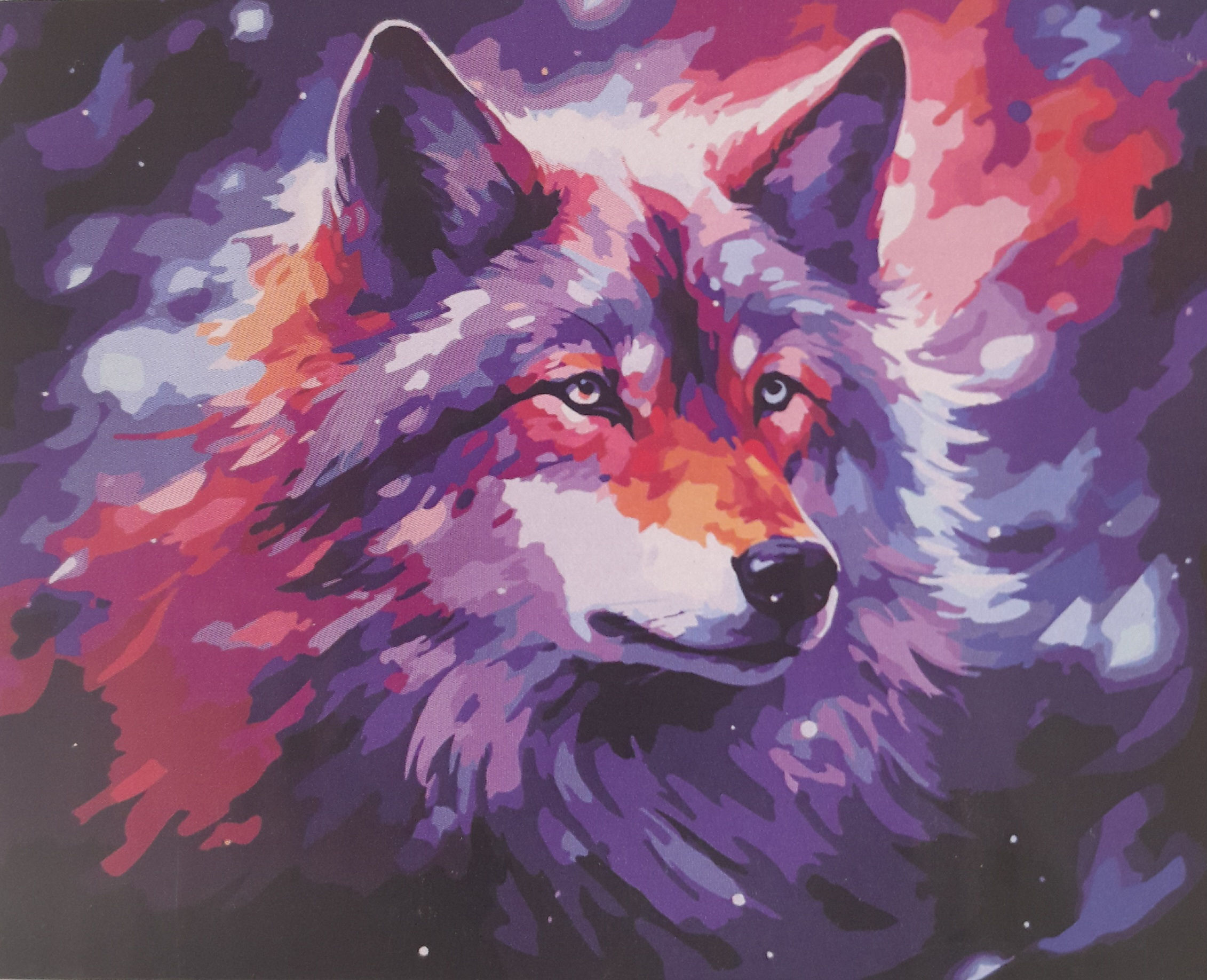 Paint By Numbers Wolf 40x50cm