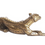 Thumbnail: Lying Cheetah