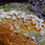 Thumbnail: Mottramite with Wulfenite on Quartz