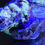 Thumbnail: Azurite and Malachite