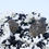 Thumbnail: Smoky Quartz & Schorl on Feldspar