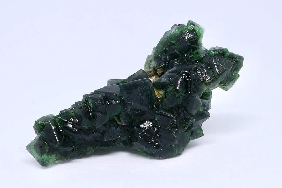 Octahedral Fluorite Tree