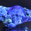 Thumbnail: Azurite and Malachite