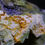 Thumbnail: Mottramite with Wulfenite on Quartz