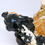 Thumbnail: Shiny Schorl on Silver Topaz and Feldspar