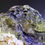 Thumbnail: Mottramite with Wulfenite on Quartz