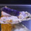 Thumbnail: Quartz - Amethyst crystal with Calcite on matrix