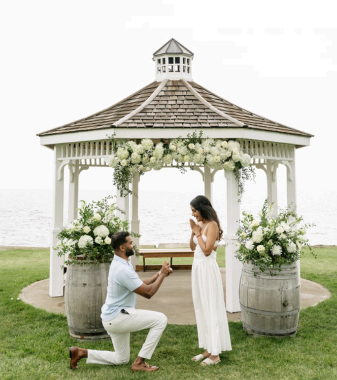 Wedding Proposal