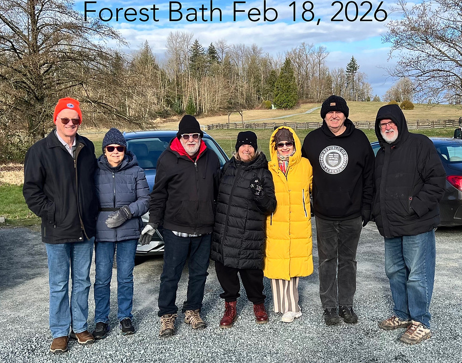 Forest Bath 2026-02-18_edited.jpg