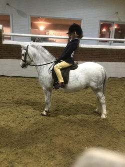 75204399_256862661899684_405825987581208