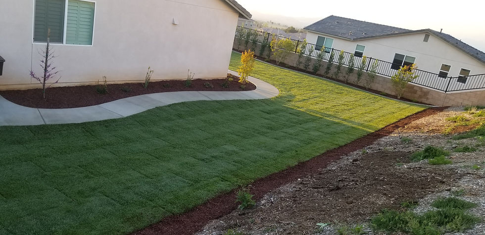 new sod, walkway and planters