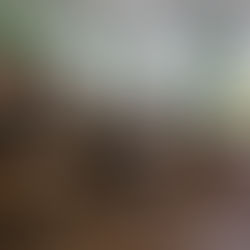 Организационное собрание ЮИД