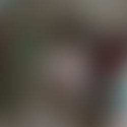 Новогоднее представление