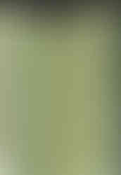 xLa psychologie des couleurs marketing- eve marketing- image vert 5