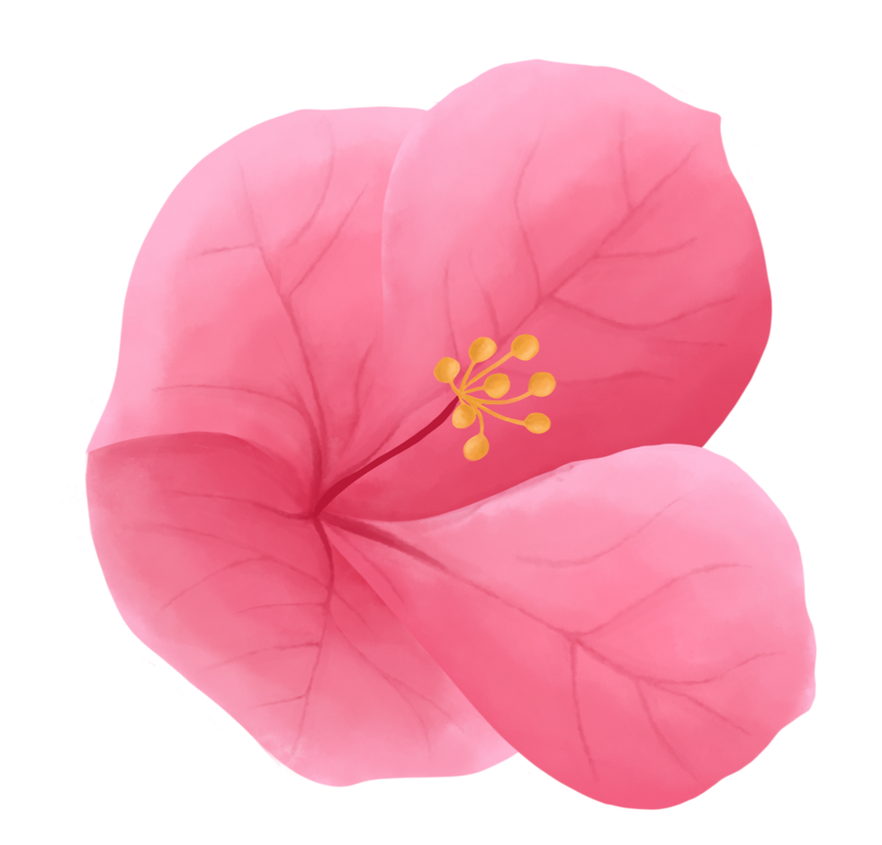 Untitled_Artwork 7_edited.png