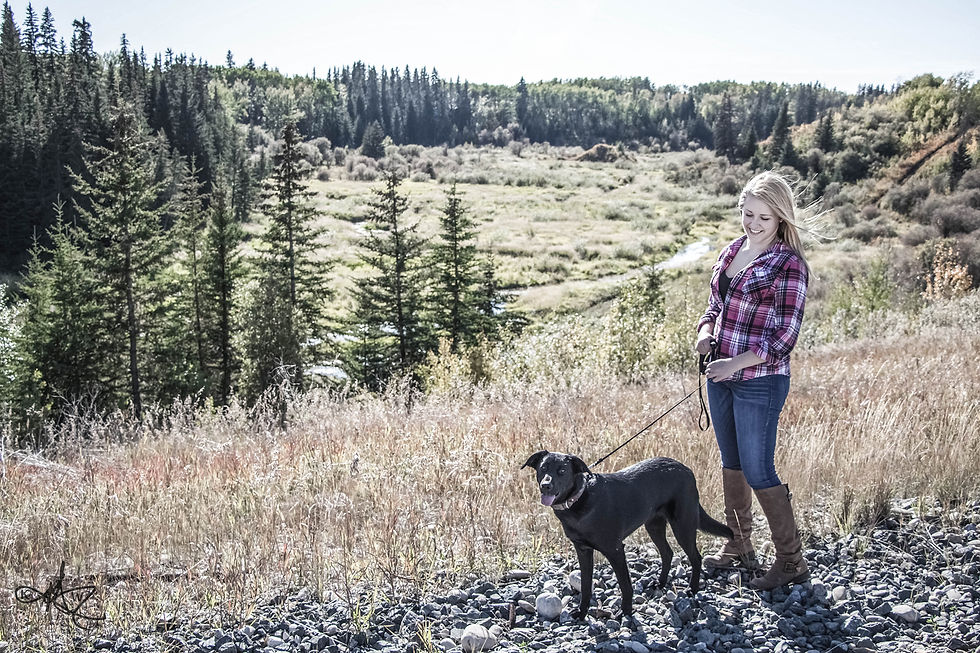 Ffion & Daphne - Pet Photography