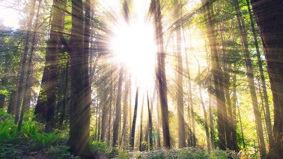 Interspiritual Exploration Group