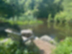 Serenity