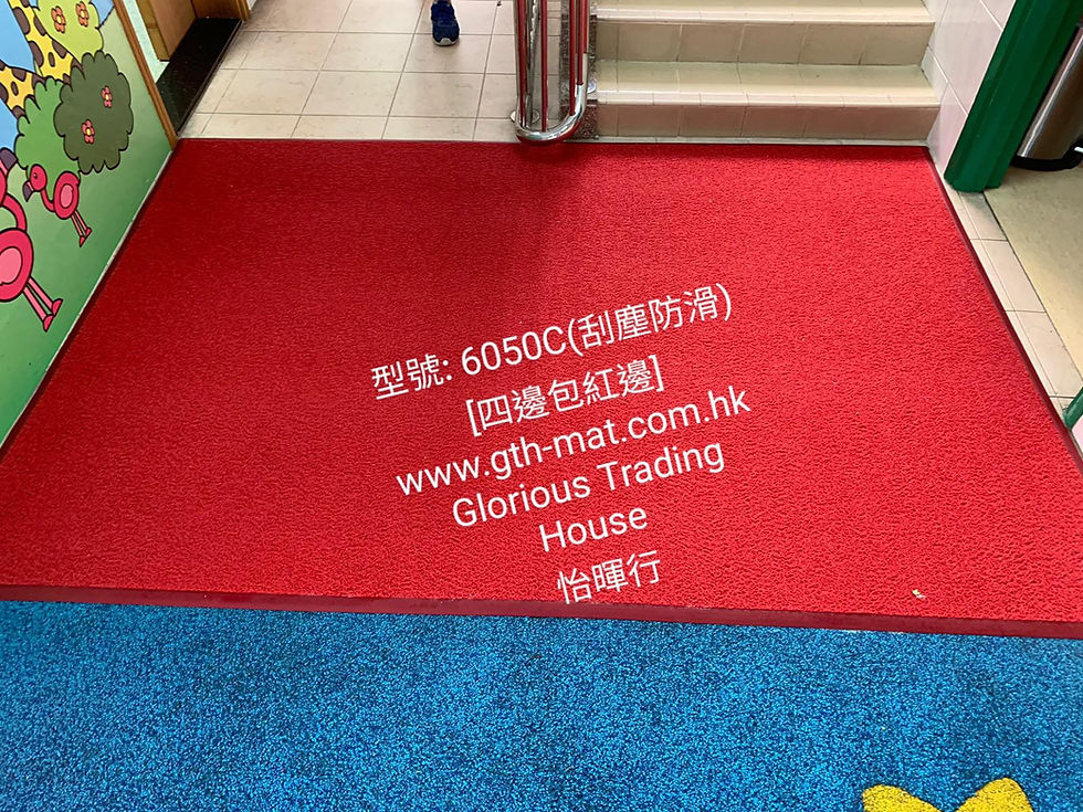 刮塵防滑系列(型號: 6050C)