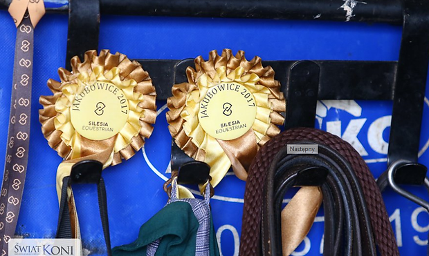 CHIC PHILYRA V.V. Z zdjecie 3.jpg