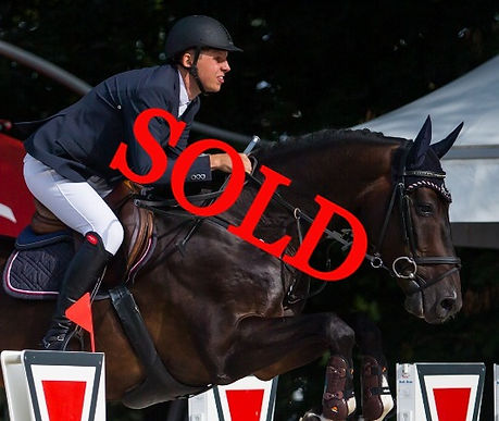 NINTO_CHICO_-_Retka_Krzysztof_-_CSI_Balt