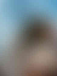 Must See - Sonoma State Historic Park