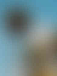 Santa Barbara County Courthouse - Architecture and Travel