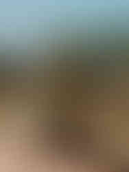 Top Tourist Attractions in Houston - Herman Park