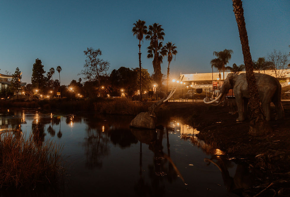 Things To Do in LA - La Brea Tar Pits and Museum