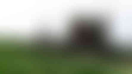 Ruins in Scotland - Castle Sinclair Girnigoe