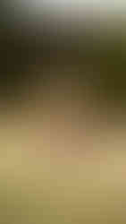 Camping in Australia - Kosciuszko National Park