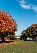 OUR 3 DAYS IN PORTLAND, OREGON