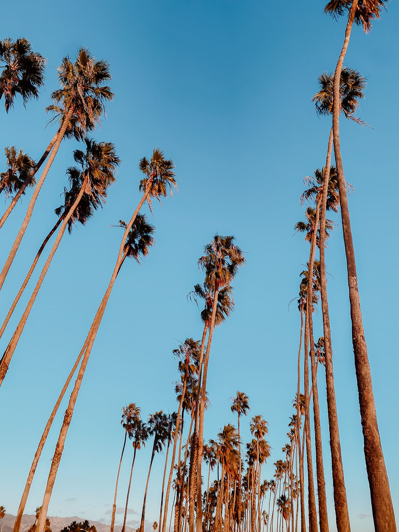California Beach Destinations - Santa Barbara 