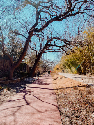 Top Things To Do in Dallas - Katy Trail