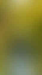 Best Hikes in New Zealand - Egmont National Park