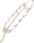 Feather2.png