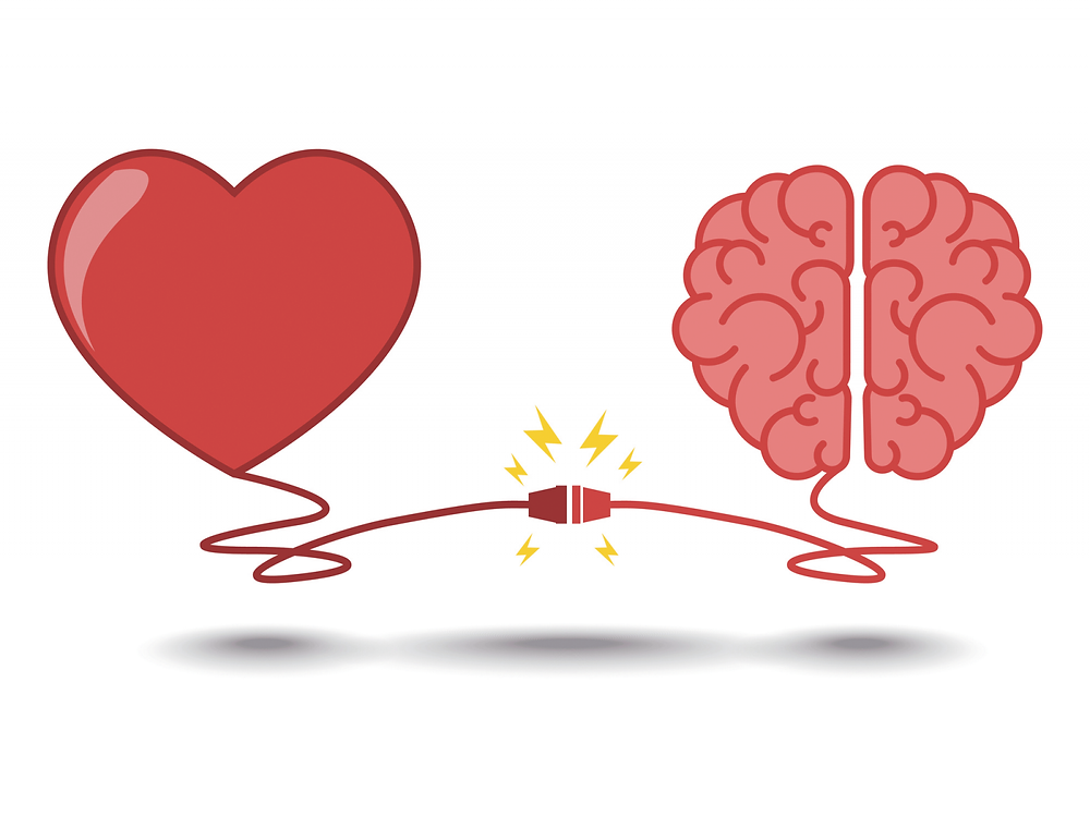 Image d'un cœur et d'un cerveau qui se connectent