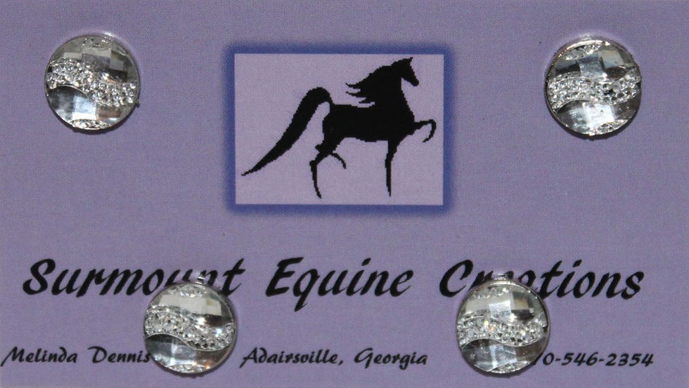 Clear Dotted Wave Horse Show Number Magnets