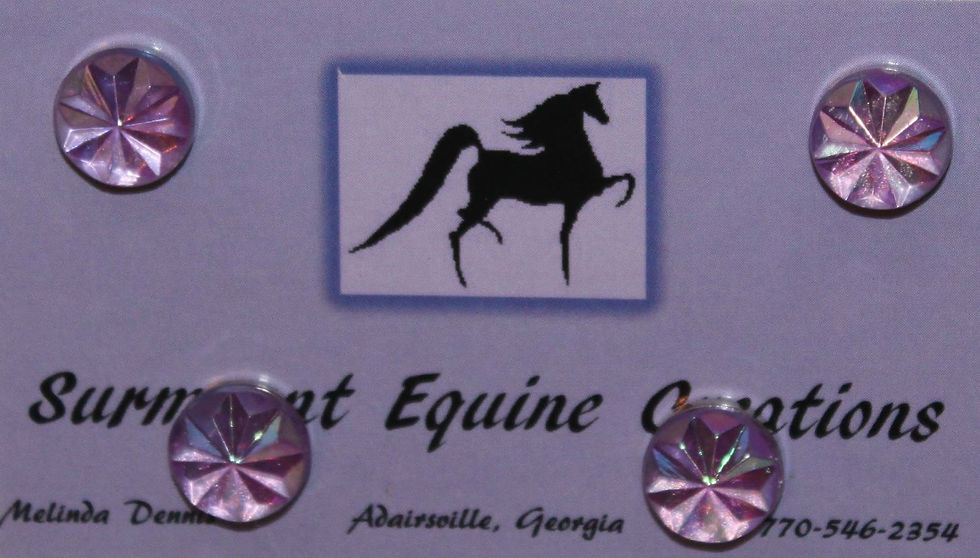 Purple Starburst Horse Show Number Magnets