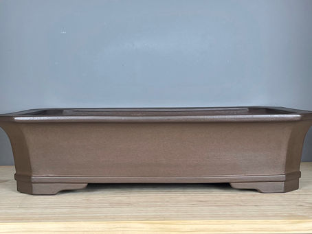Why Tokoname Bonsai Pots Stand Out
