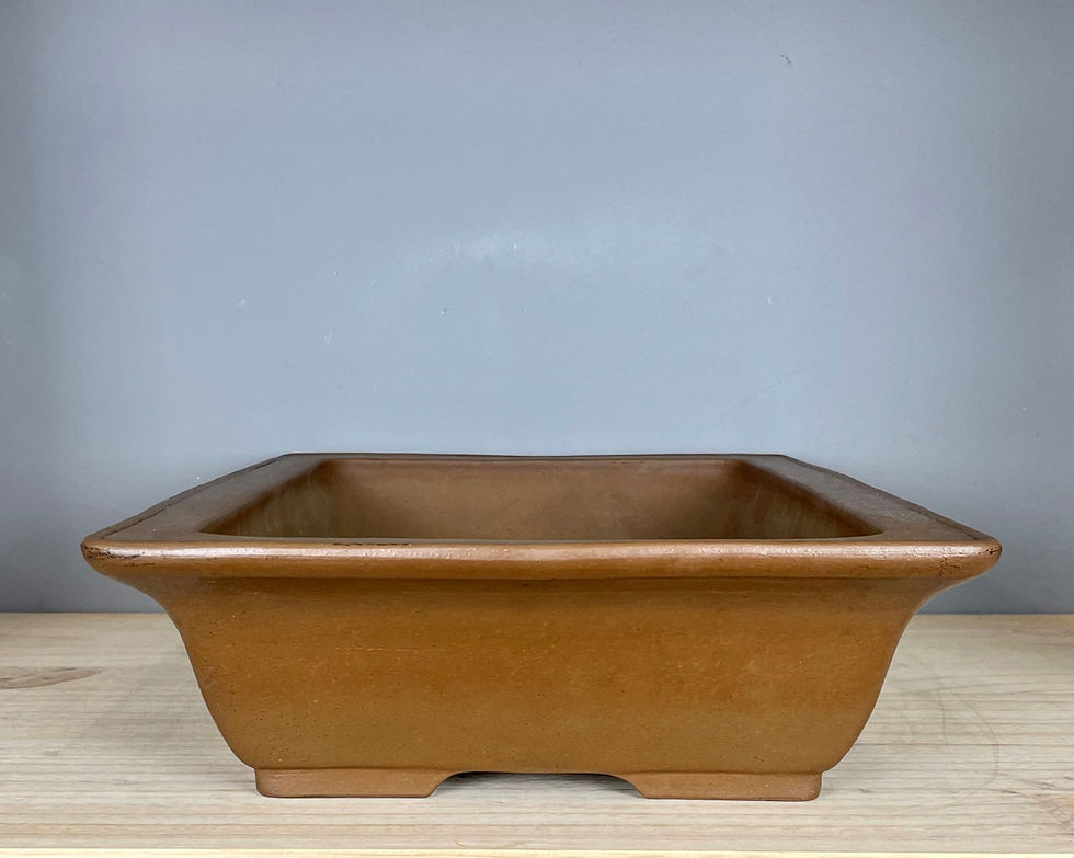 Thumbnail: Tokoname bonsai pot - Izumi-Ya (Shoukou)