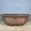 Thumbnail: Tokoname bonsai pot - Izumiya (Mr. MATSUSHITA Masuo)