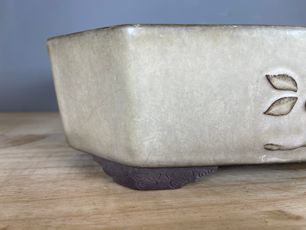 Thumbnail: Tokoname bonsai pot - Yamaaki