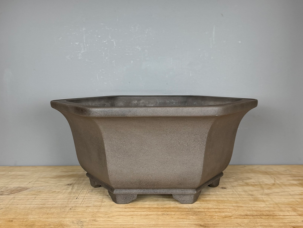 Tokoname bonsai pot - Keizan Hisada