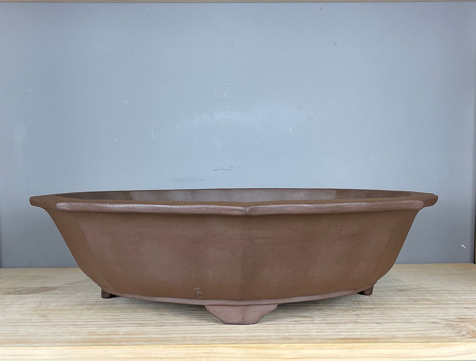 Thumbnail: Tokoname bonsai pot - Terahata