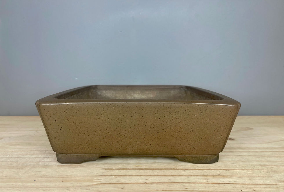 Thumbnail: Tokoname bonsai pot - Gyouzan