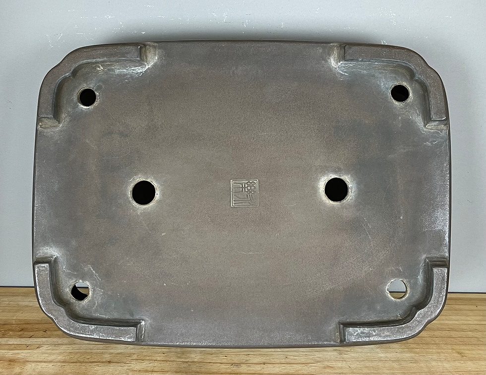 Thumbnail: Tokoname bonsai pot - Eiraku