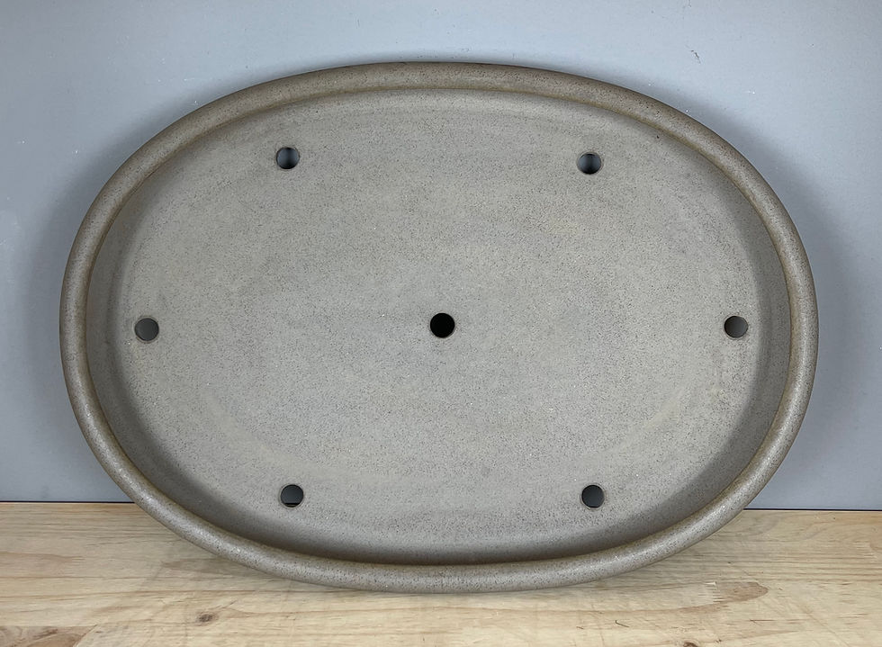 Thumbnail: Tokoname bonsai pot - Seizan